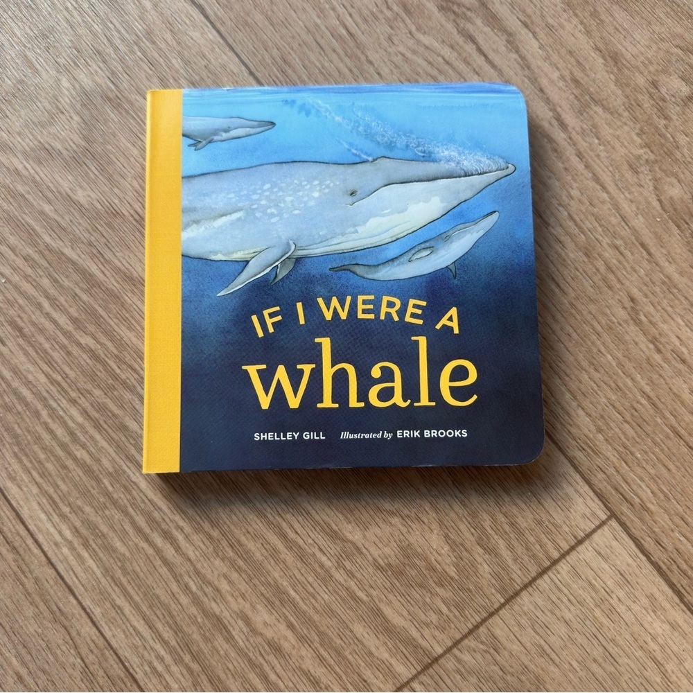 4/$20 Like New If I Were a Whale Children's Board Book, Sea Creatures